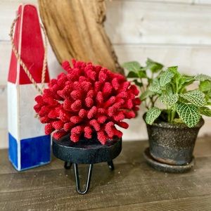 CoraI in red on a handmade wood & metal stand.